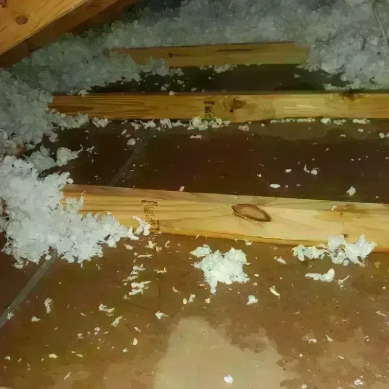 Attic Water Damage in Okawville, IL