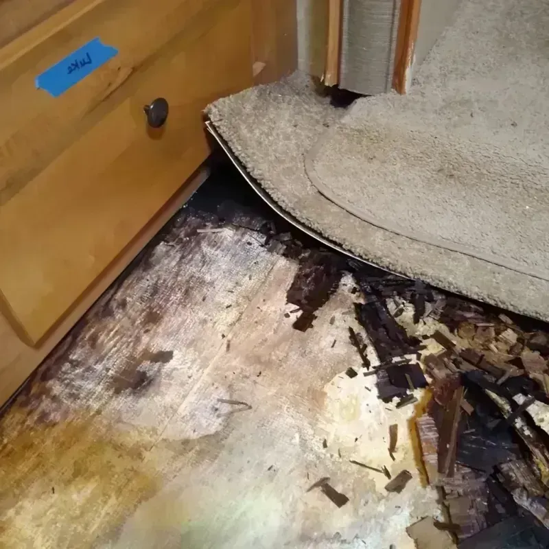 Best Wood Floor Water Damage Service in Okawville, IL